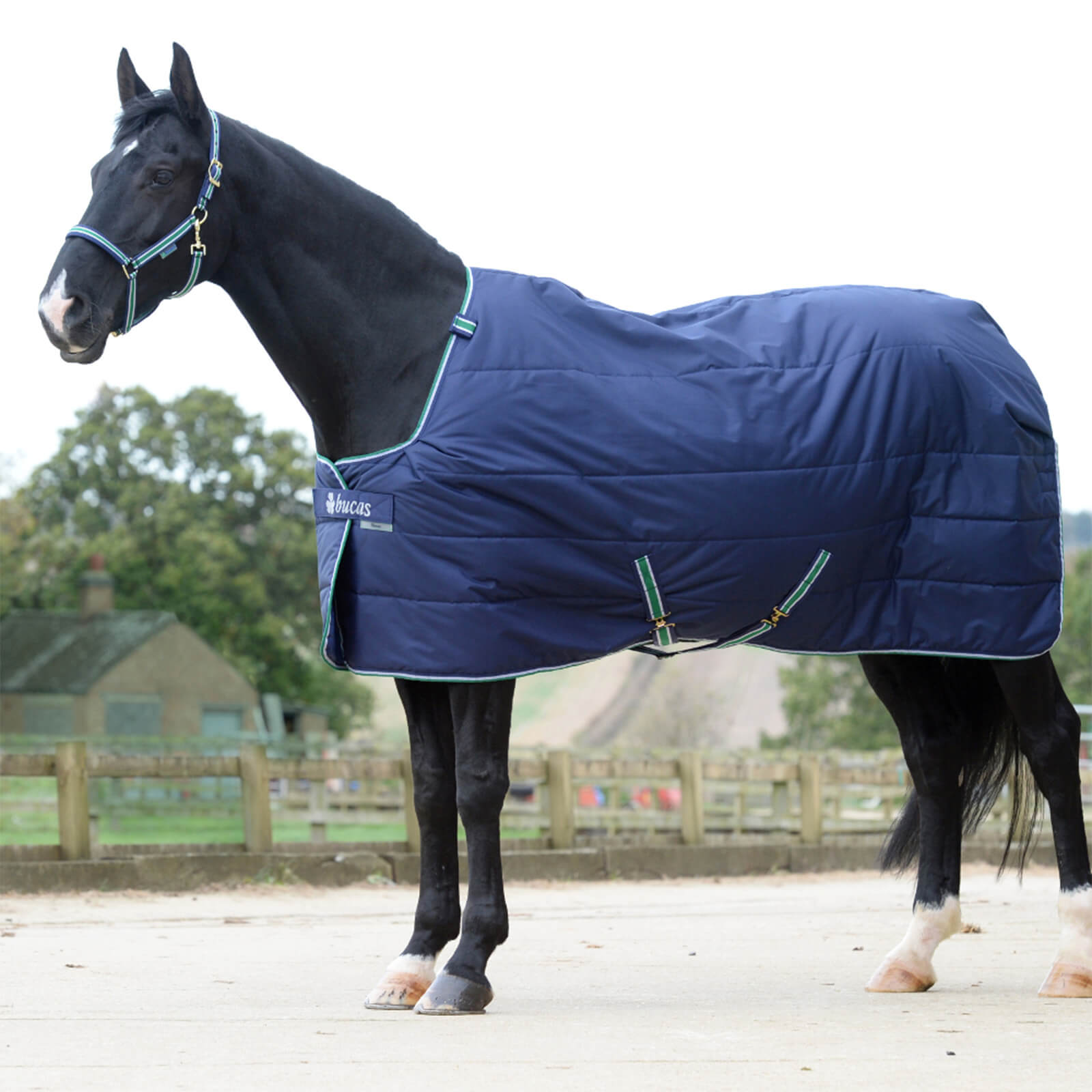 Stall- und Unterdecke 50g Quilt 50 SF