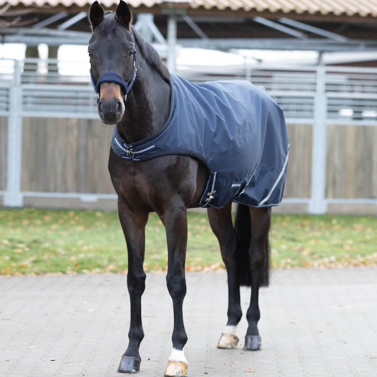 Bewegungsdecke 100g Rain Comfort
