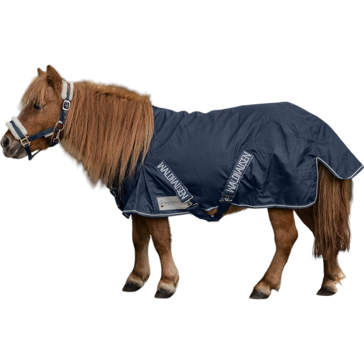 Outdoordecke Shetty 100g Comfort Weidedecke