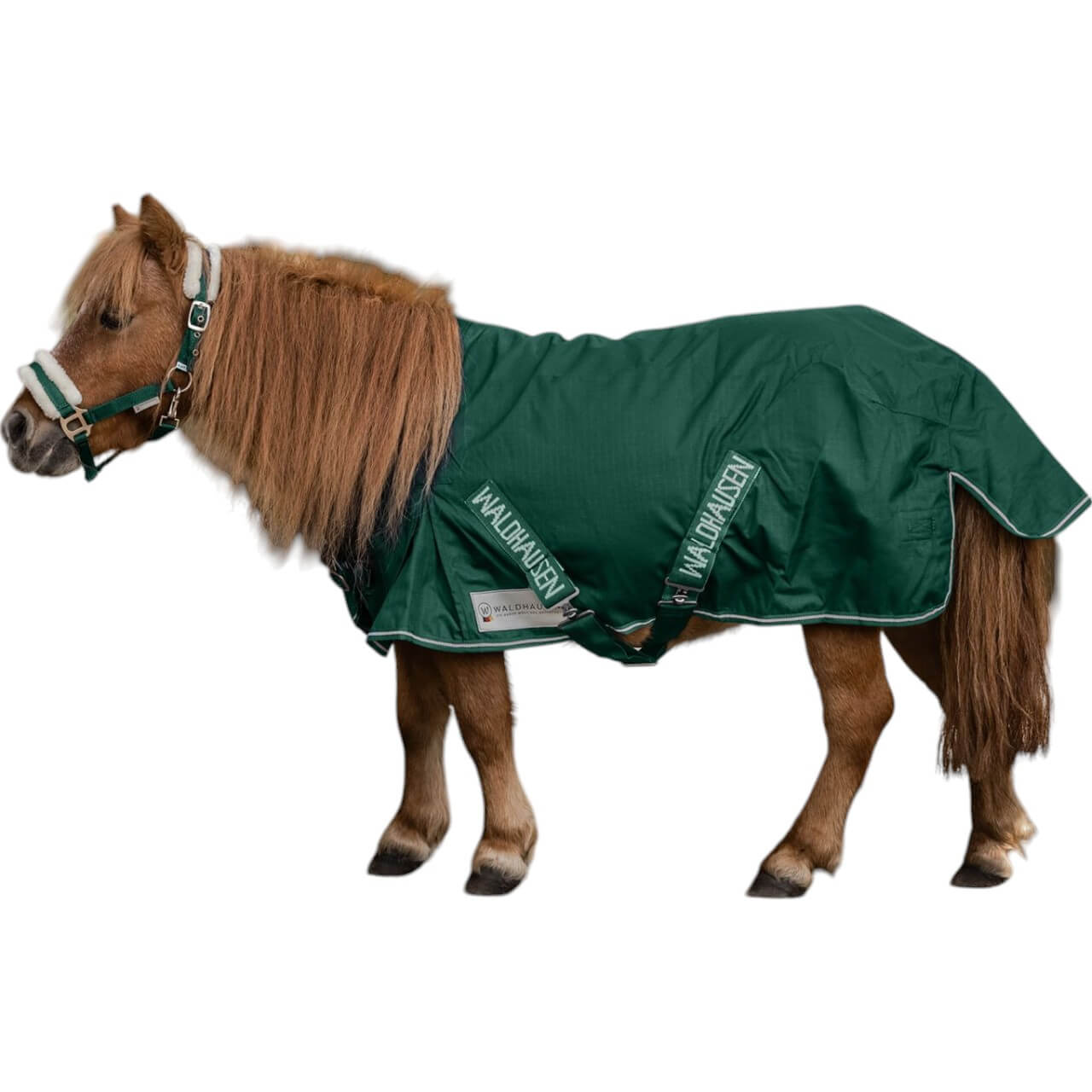 Outdoordecke Shetty 100g Comfort Weidedecke