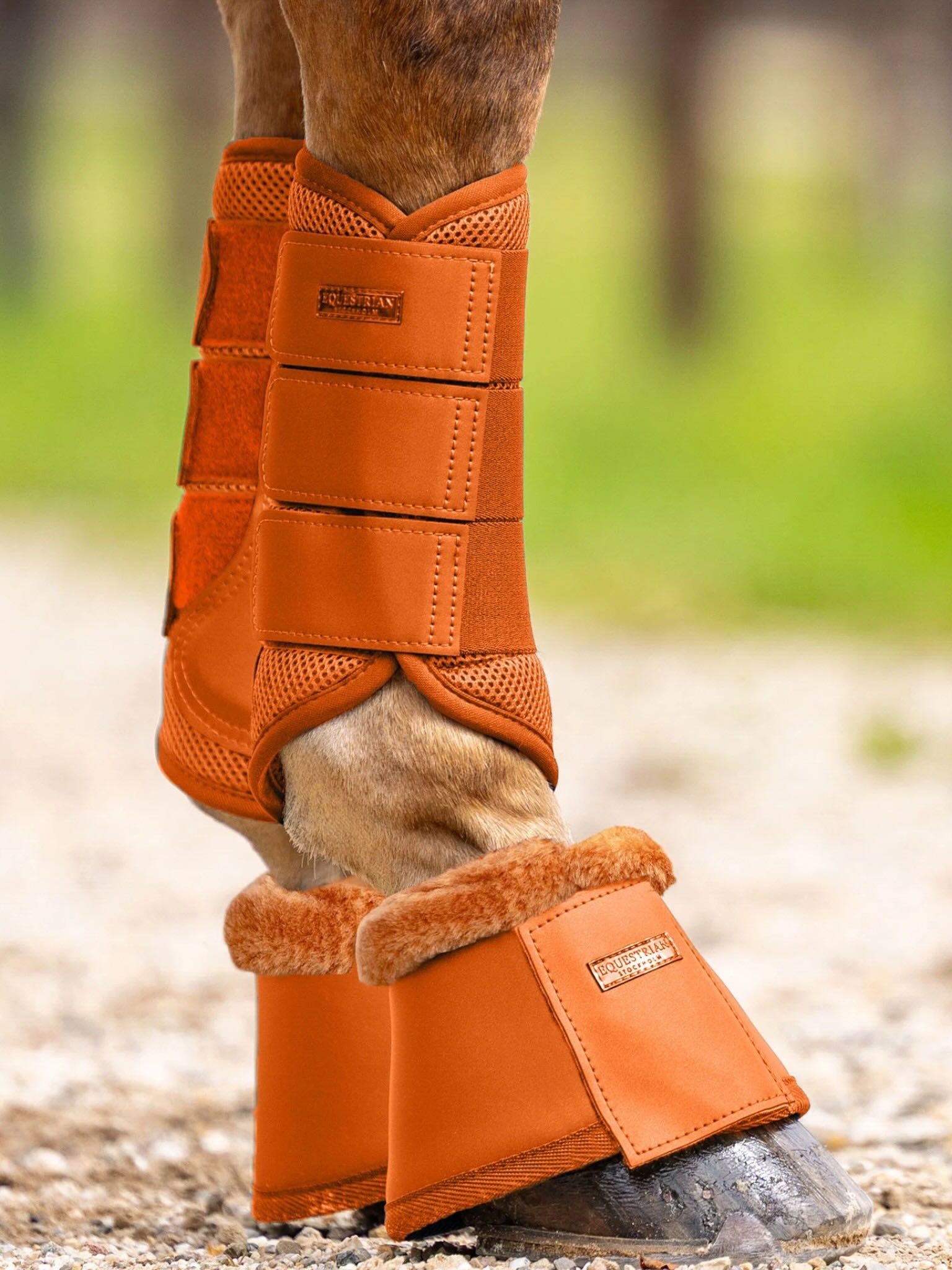 Hufglocken Chestnut Hufschutz