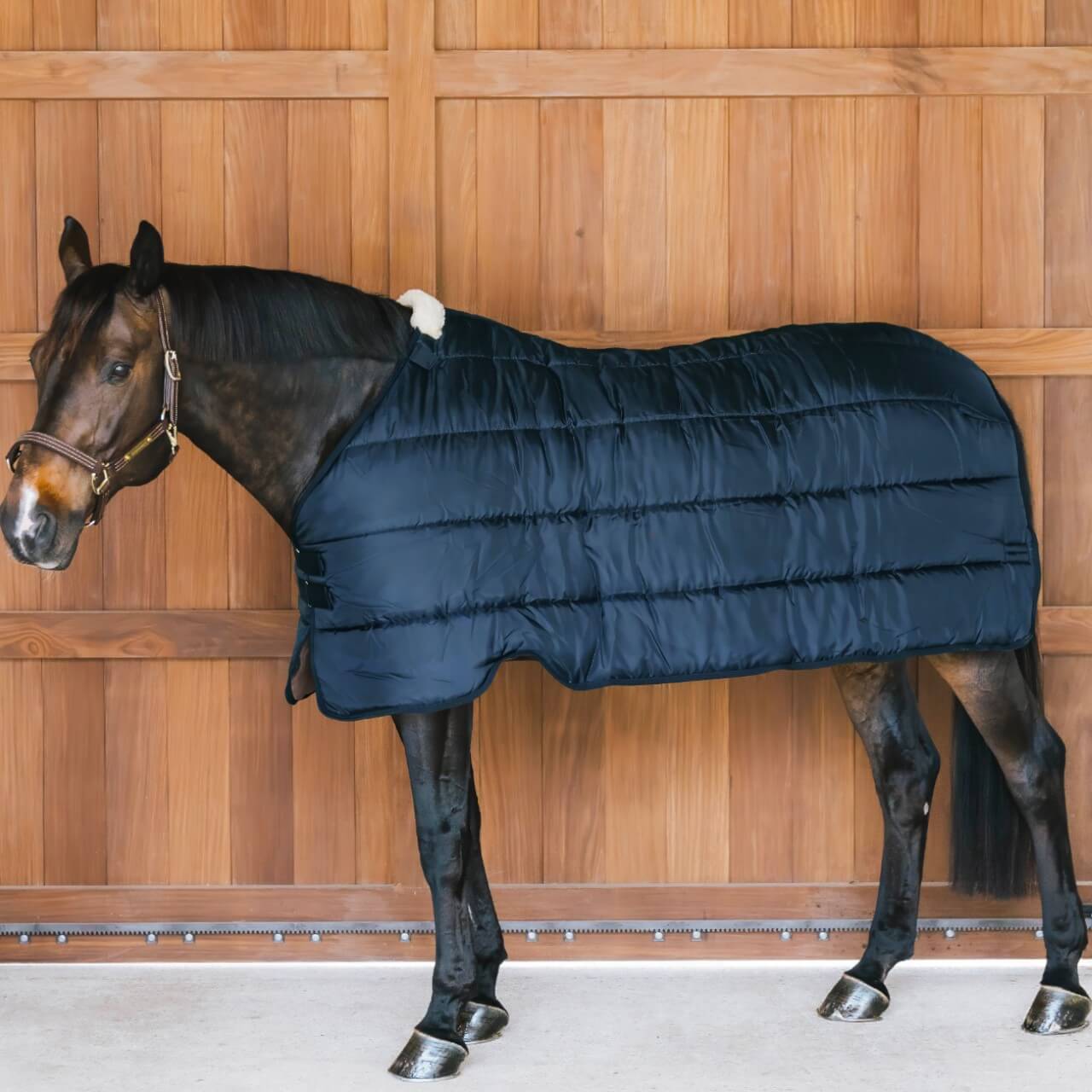 Unterdecke 300g Comfort Liner Pro Turnout Rug
