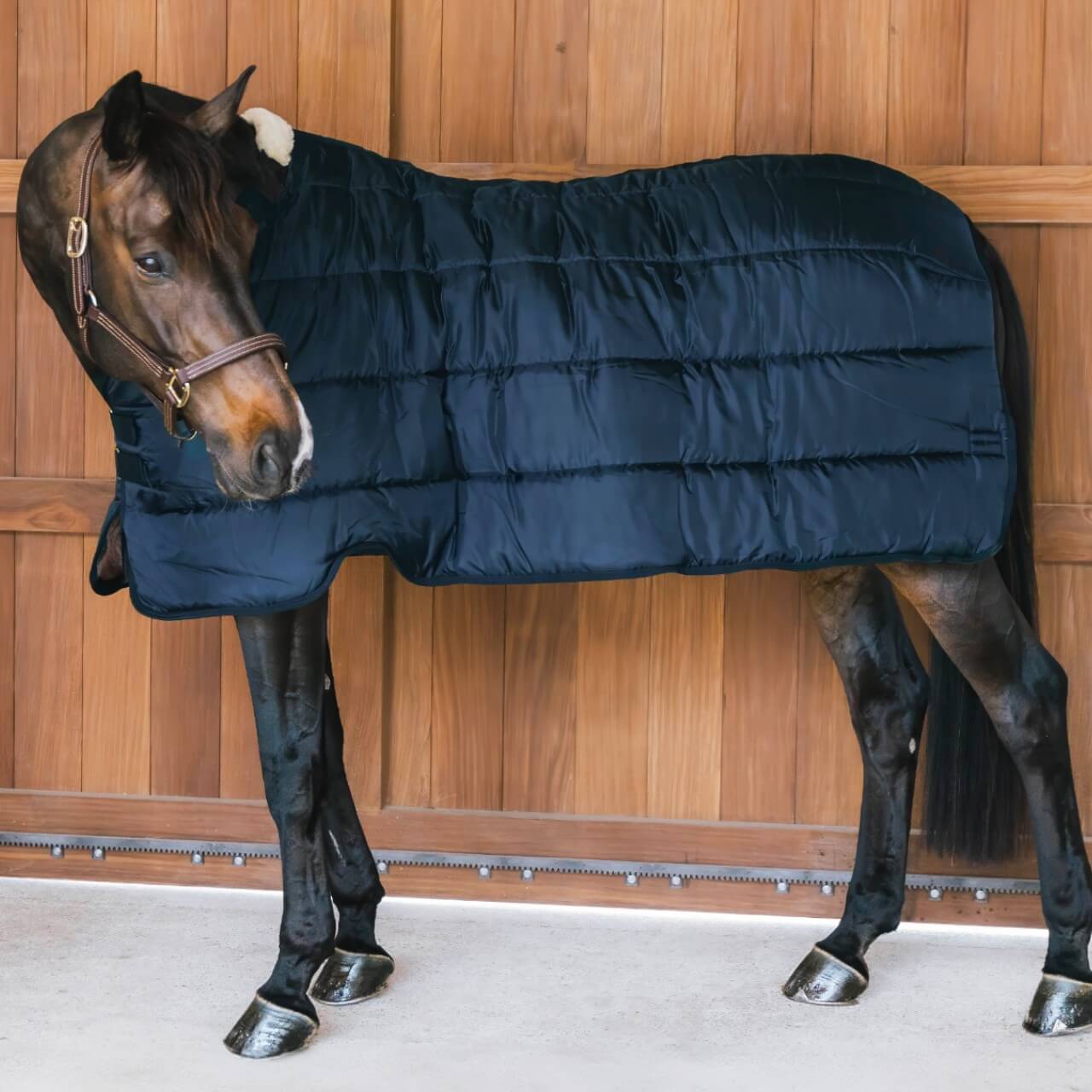 Unterdecke 400g Comfort Liner Pro Turnout Rug