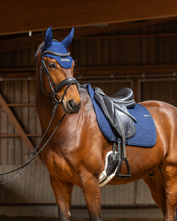 Braunes Pferd mit blauem Fliegenohrenhaube, Schabracke und Sattel in der Reithalle.