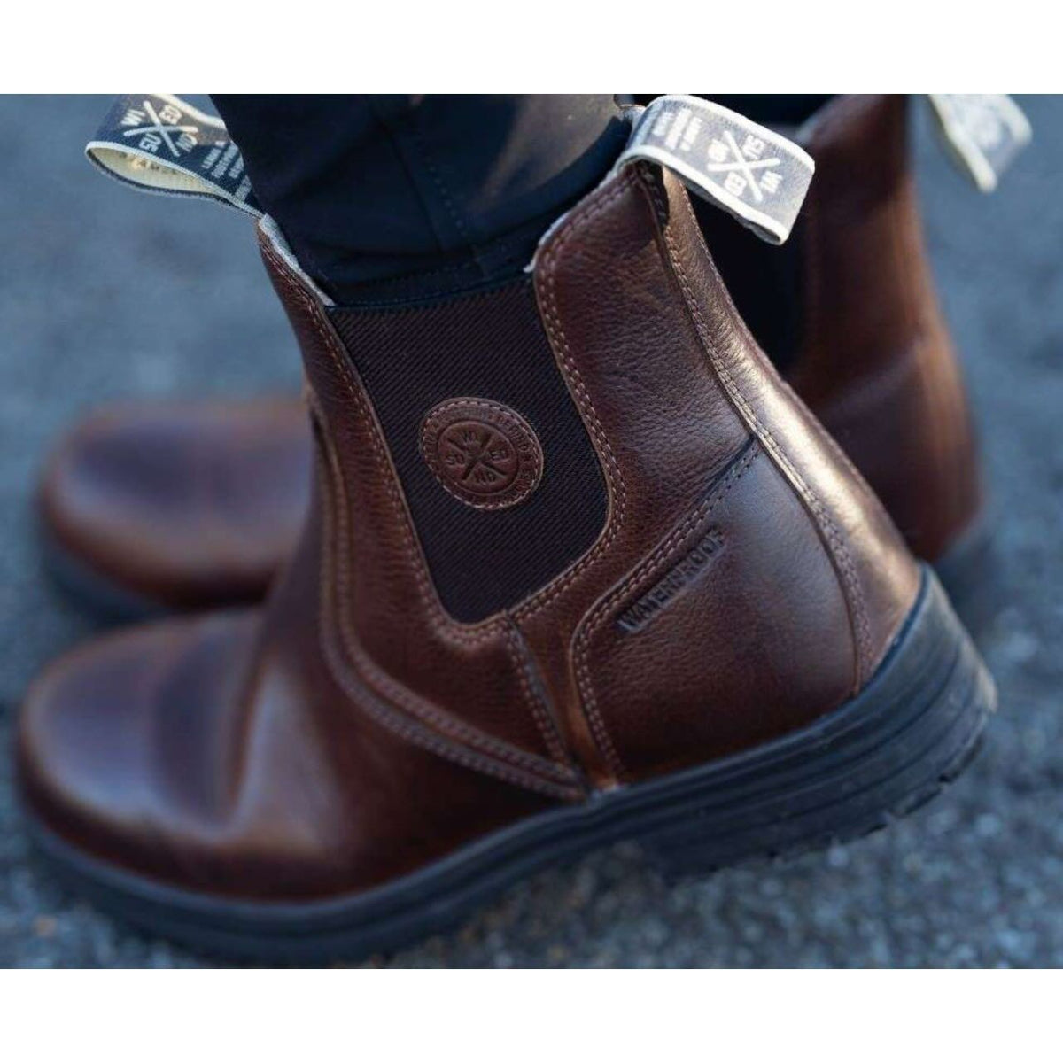 Stiefelette Amaron Chelsea Wool WP Winterreitstiefelette