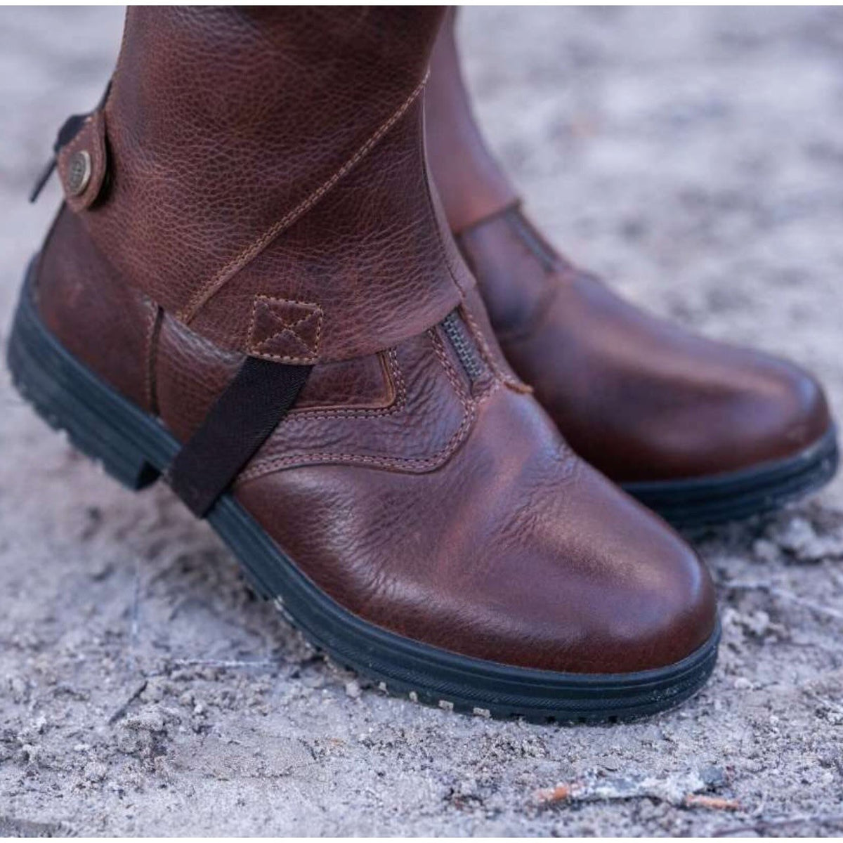 Stiefelette Amaron FZ Wool WP Winterreitstiefelette