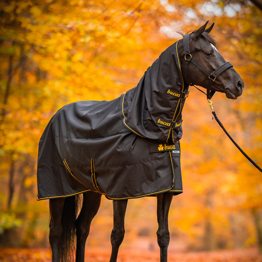 Turnout Rug 50g Nordic Pasture Rug