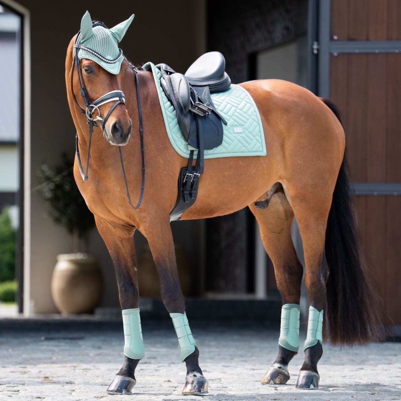 Dressurgamaschen Mesh Mint Green Gamaschen