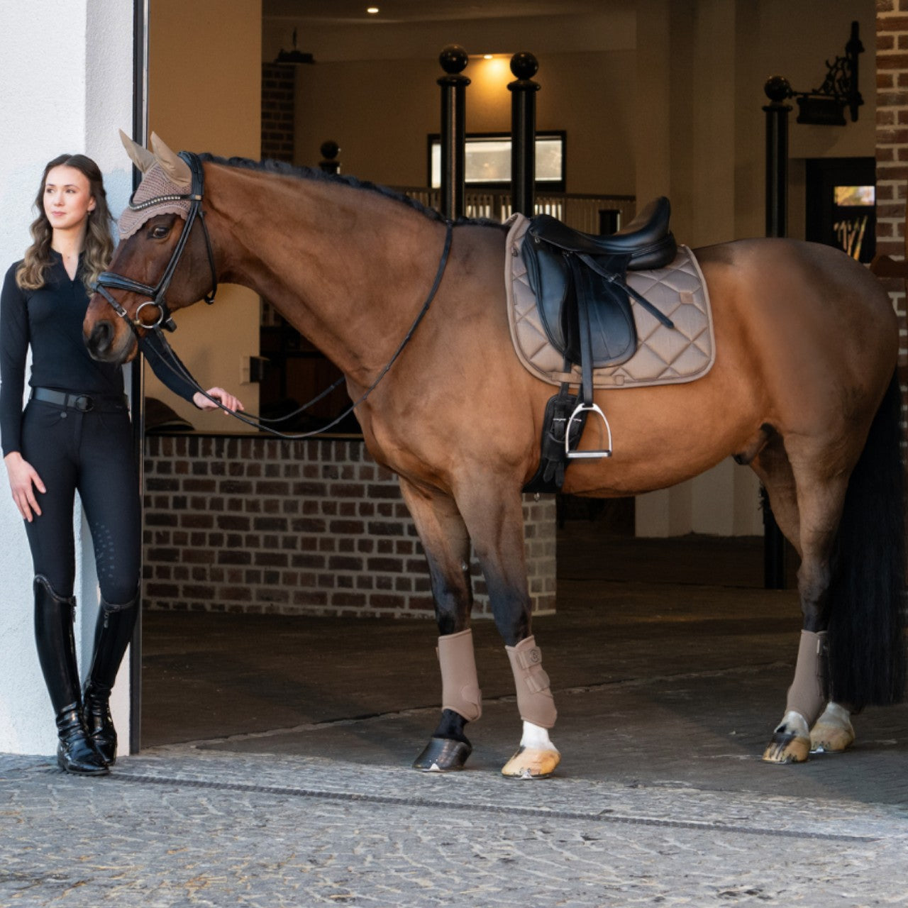 Dressurgamaschen Vorderbein Pro Dressage Platinum 2025 Gamaschen