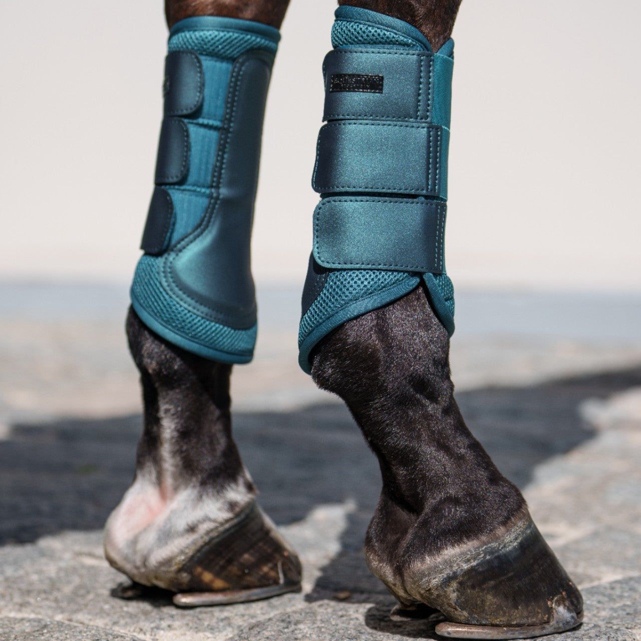 Dressurgamaschen Teal Blue Gamaschen