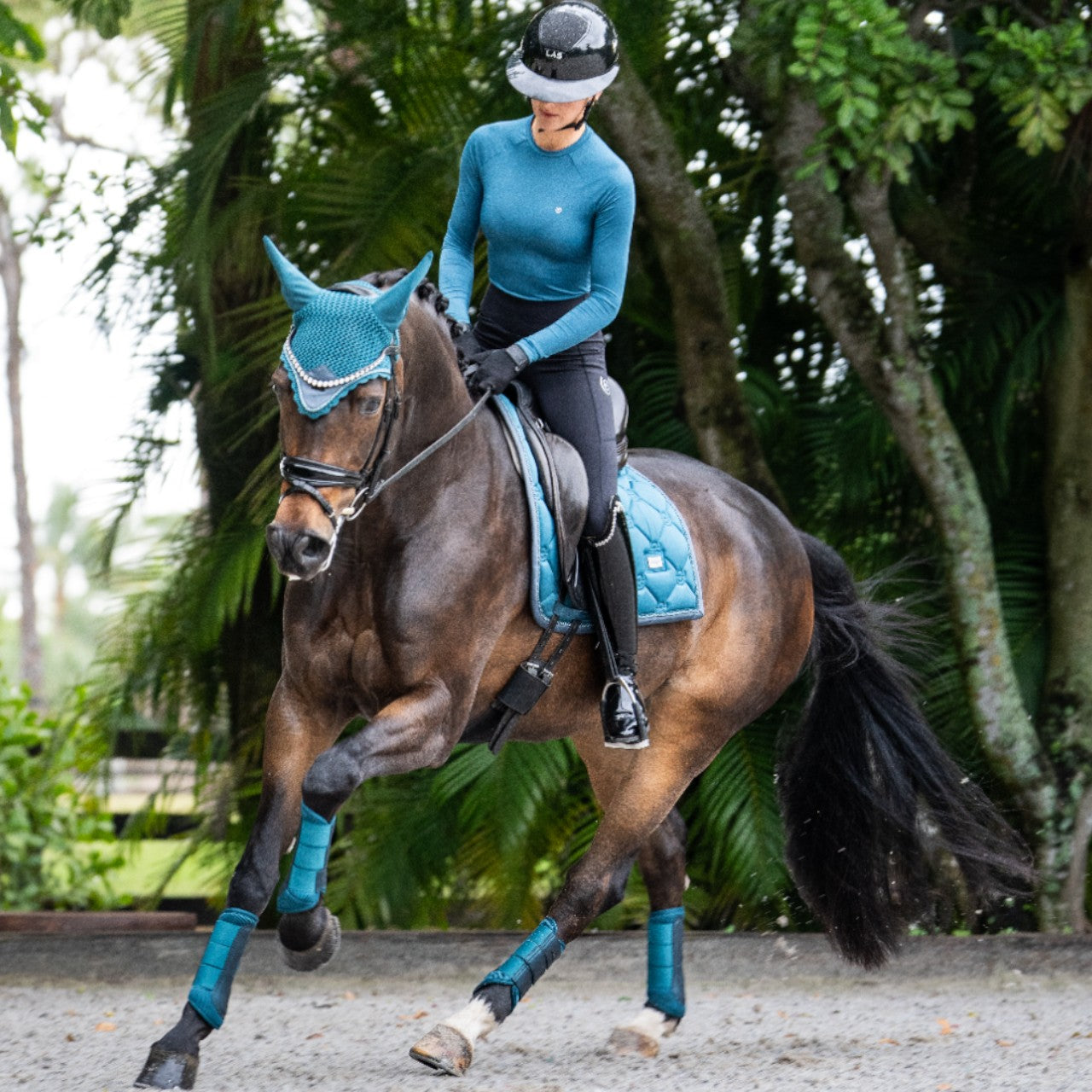 Dressurgamaschen Teal Blue Gamaschen