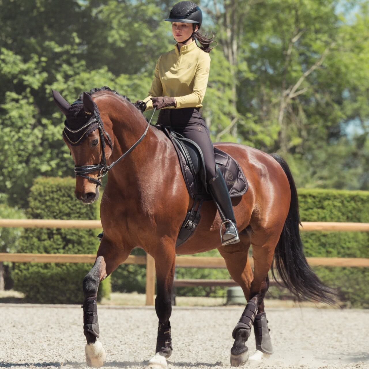 Dressurschabracke Bicross Heritage 2025 Schabracke