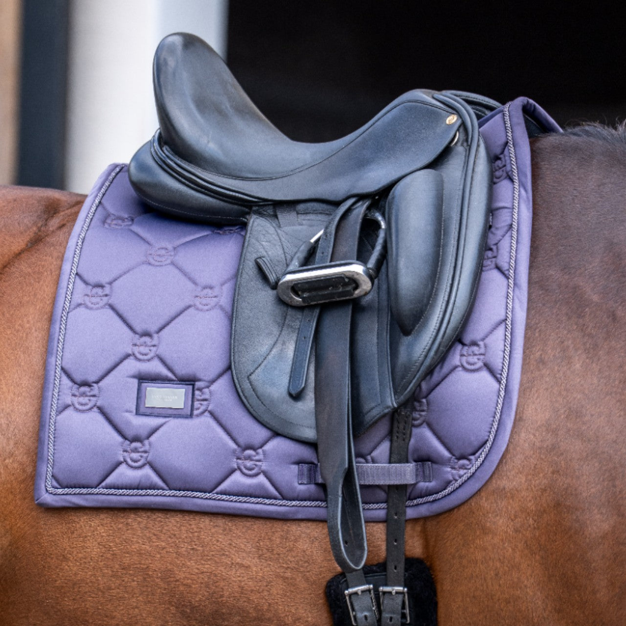 Dressurschabracke Dark Violet Schabracke