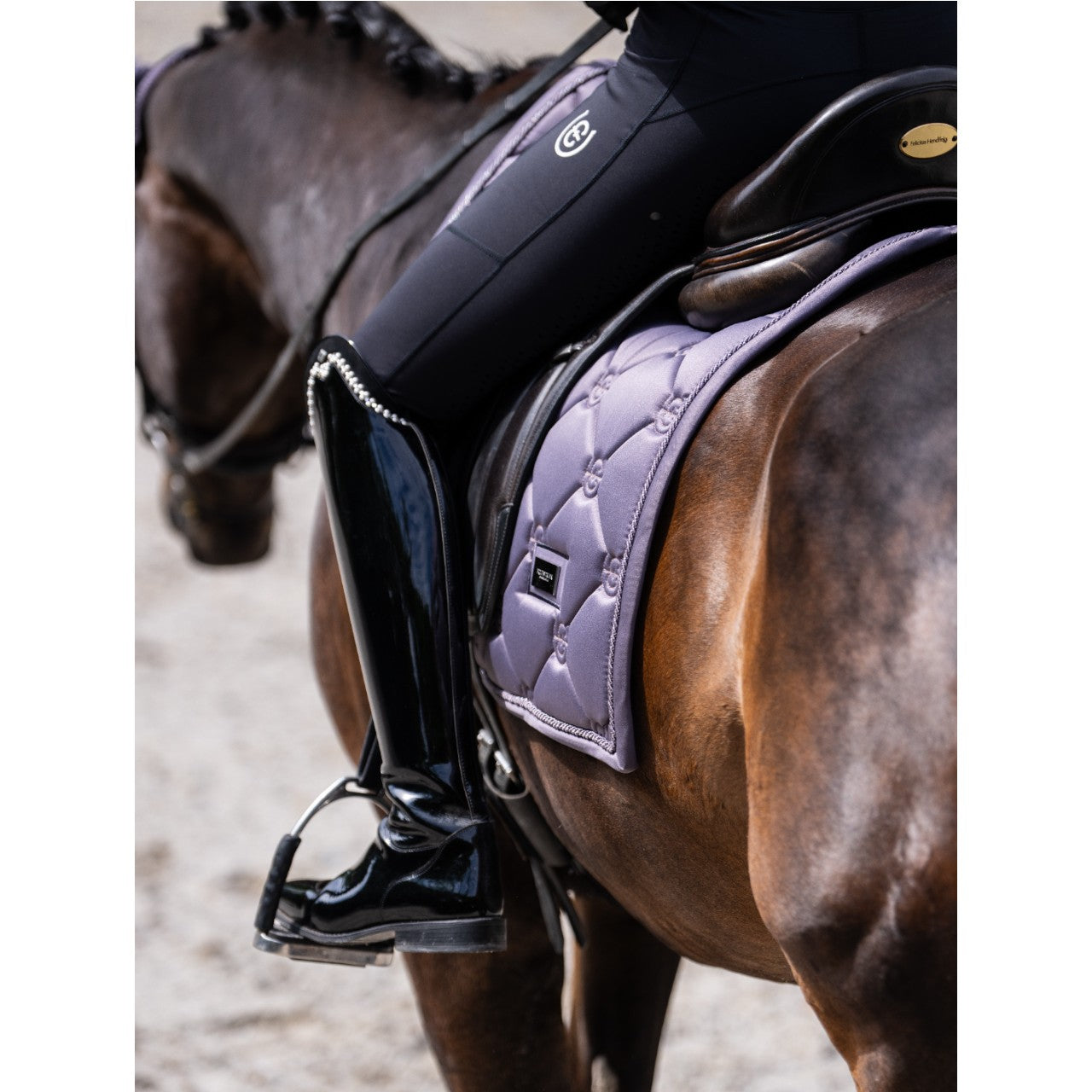 Dressurschabracke Dark Violet Schabracke