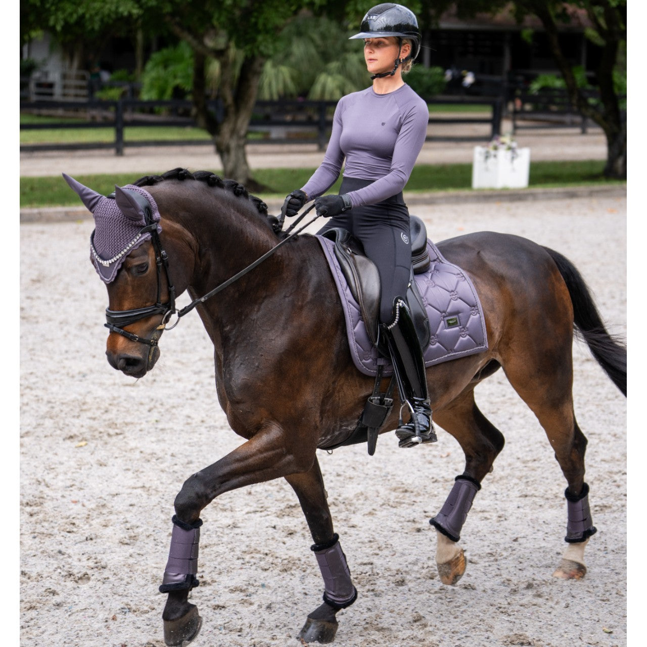 Dressurschabracke Dark Violet Schabracke
