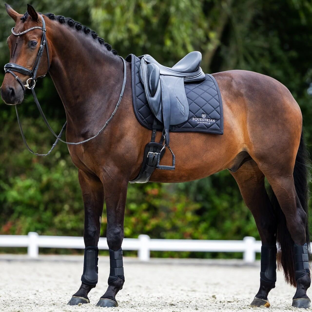 Dressurschabracke Line Black Schabracke