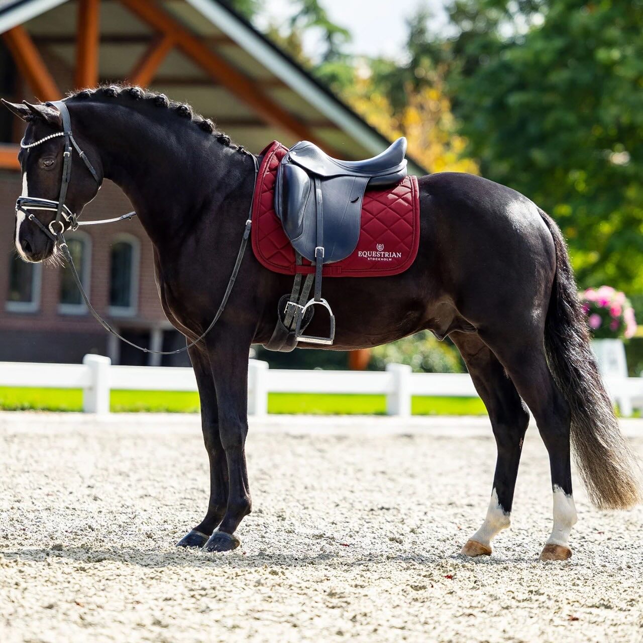 Dressurschabracke Line Bordeaux Schabracke