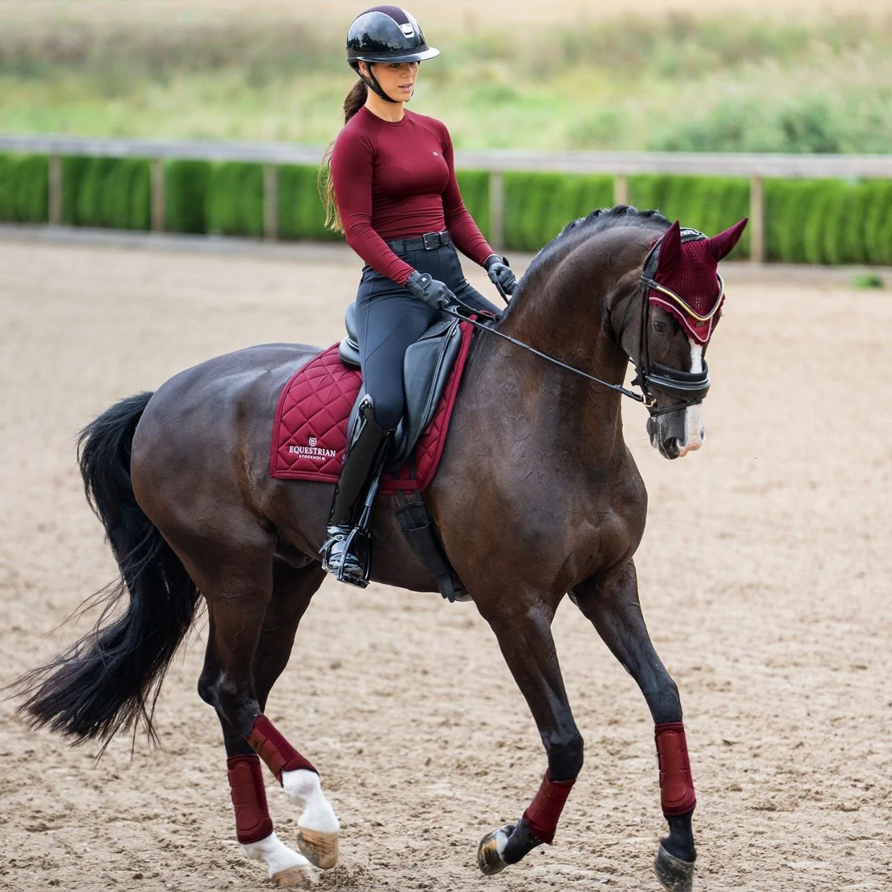 Dressurschabracke Line Bordeaux Schabracke