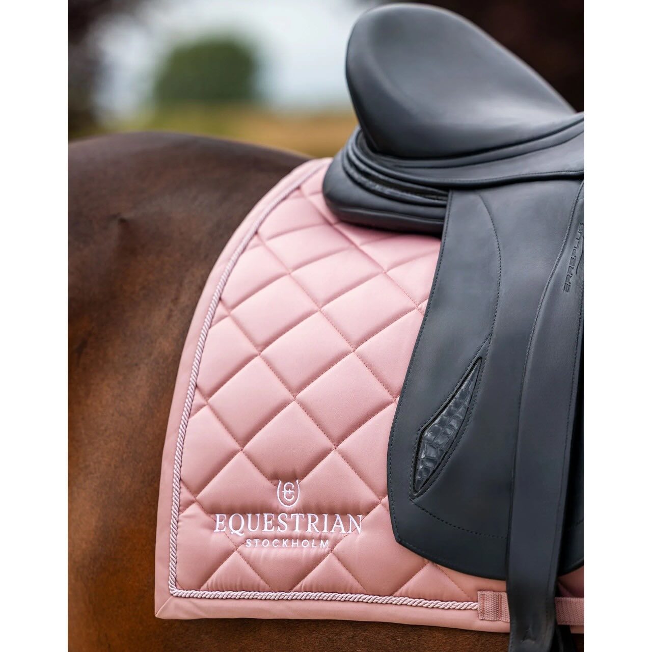 Dressurschabracke Line Pink Schabracke