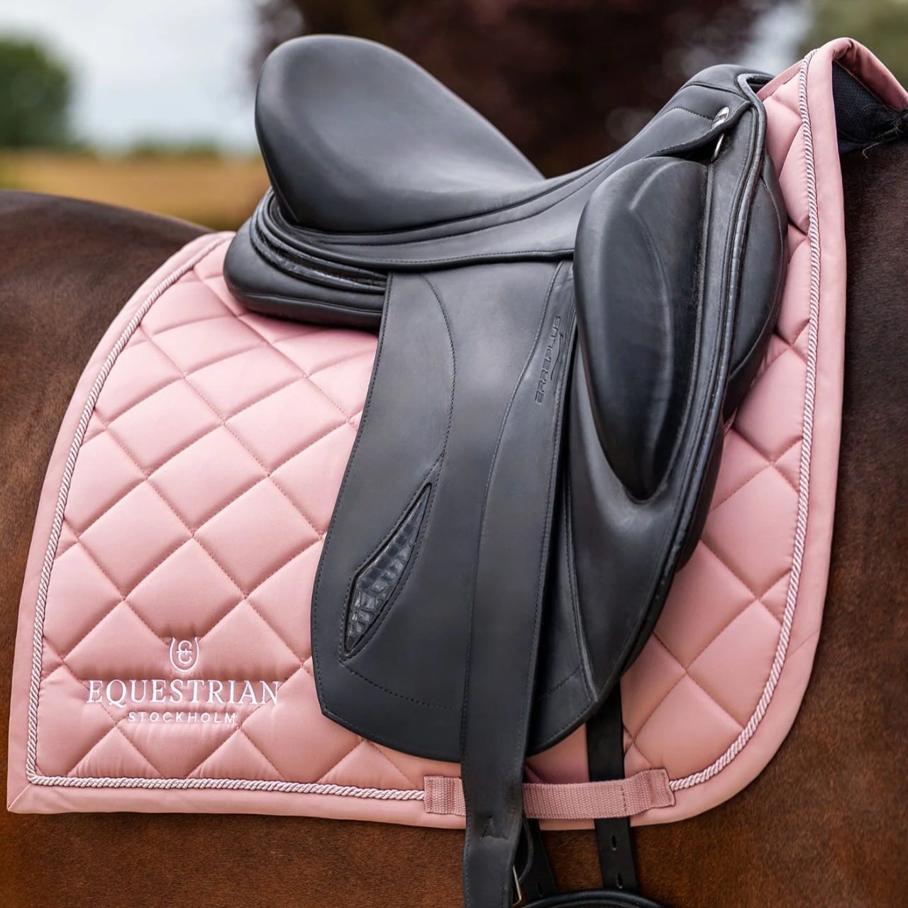 Dressurschabracke Line Pink Schabracke