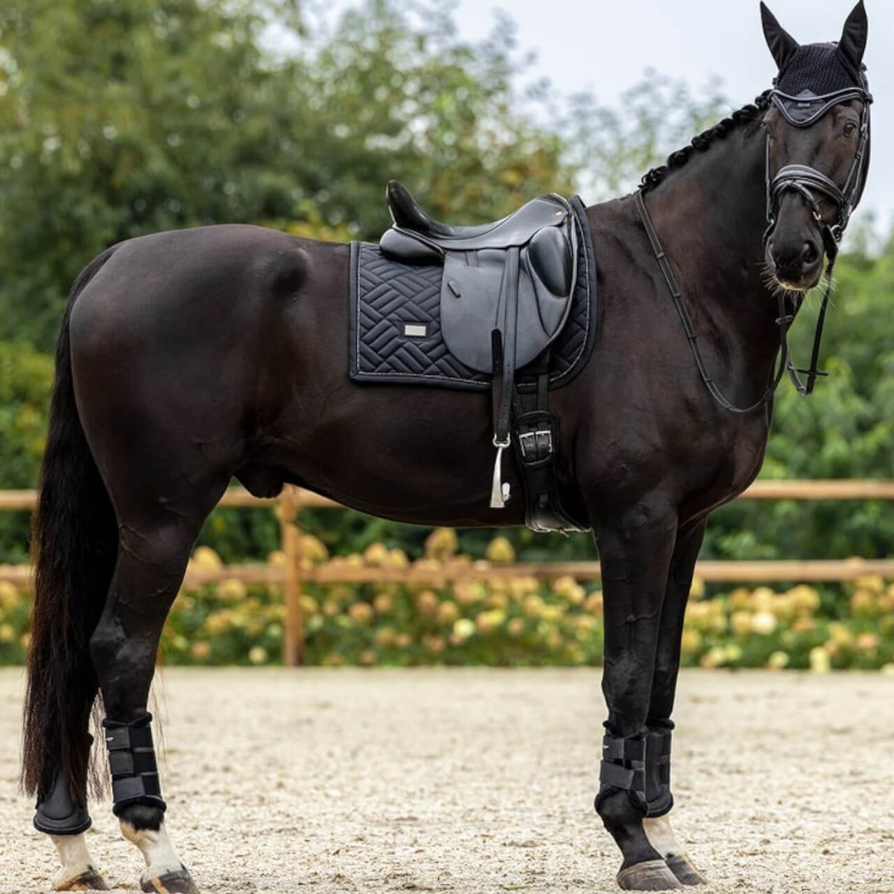 Dressurschabracke Modern Black Schabracke