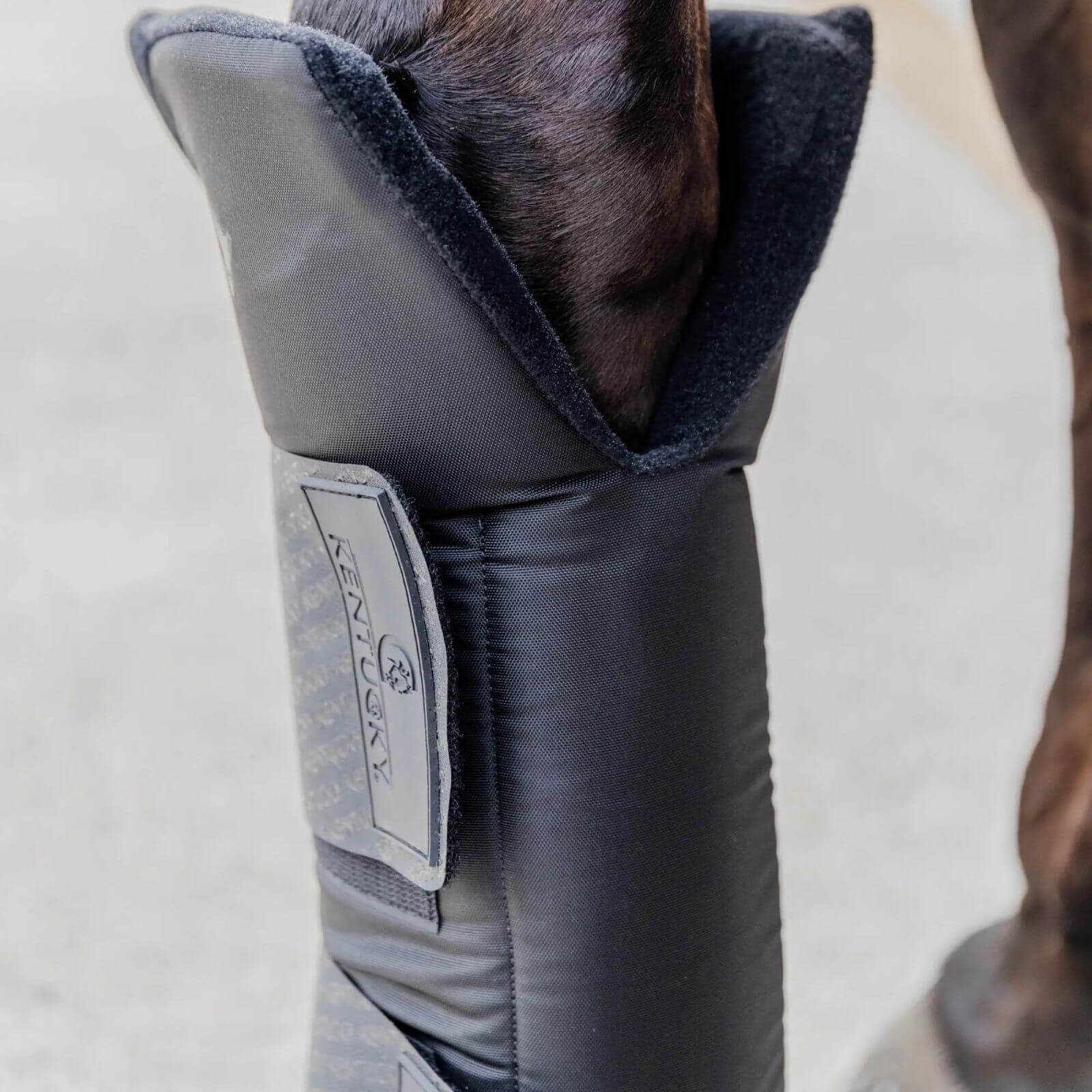 Stallgamaschen PROtect Lang (Vorne) Gamaschen