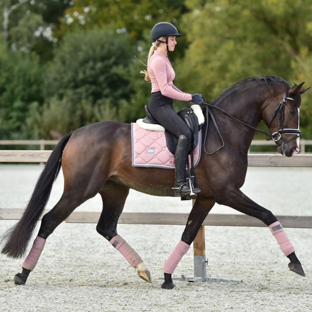 Dressurschabracke Pink Pearl Schabracke