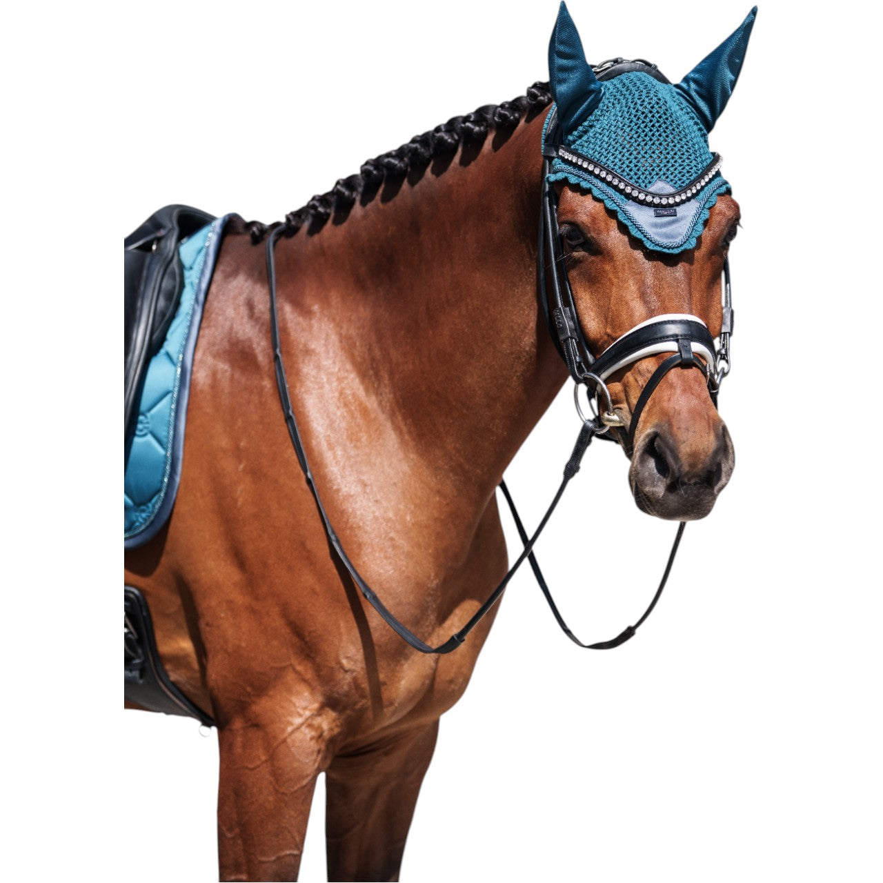 Dressurschabracke Teal Blue Schabracke