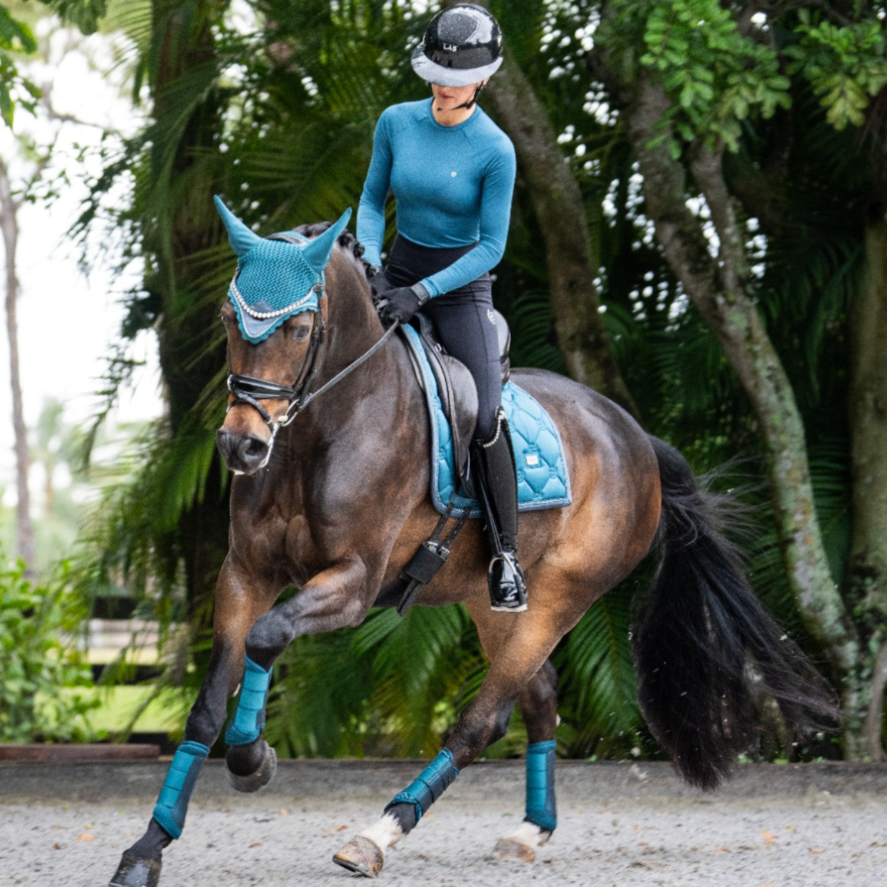 Dressurschabracke Teal Blue Schabracke