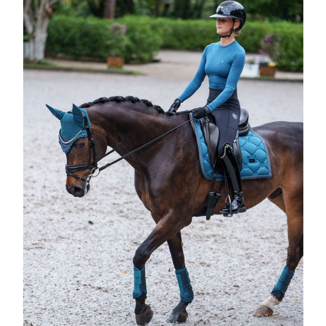 Dressurschabracke Teal Blue Schabracke