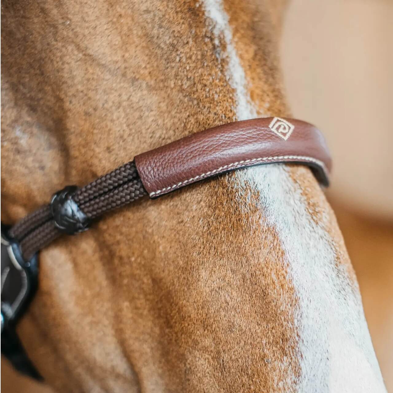 Gebisslose Trense Bitless Bridle