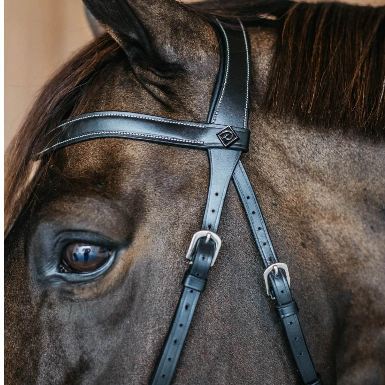 Gebisslose Trense Bitless Bridle