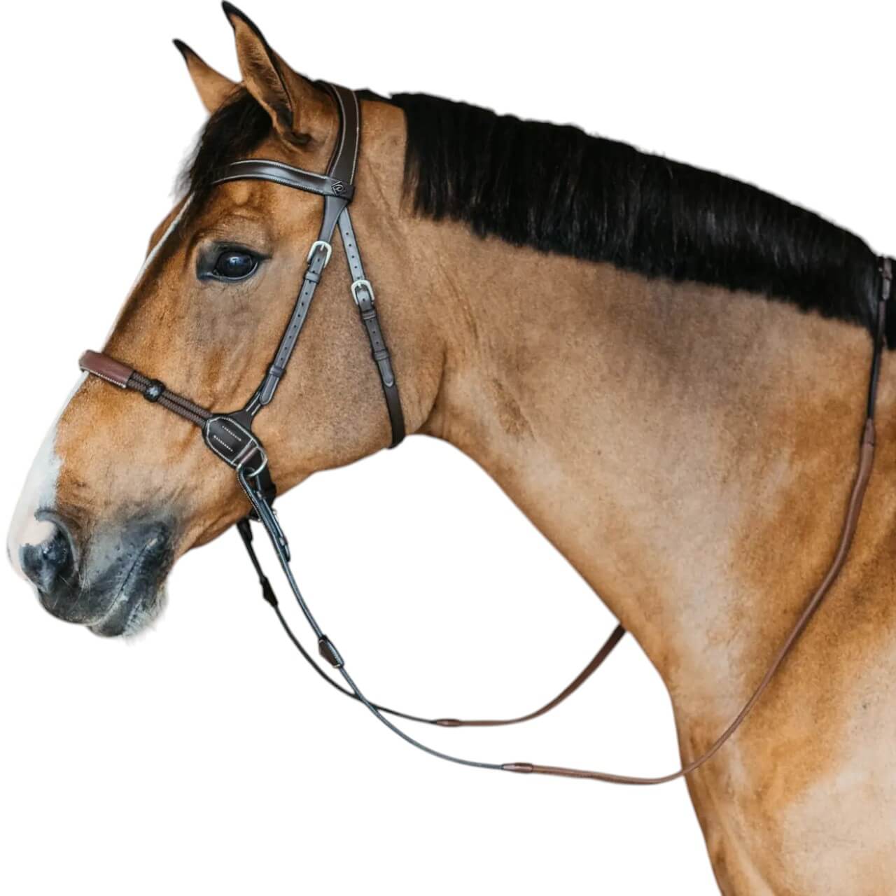 Gebisslose Trense Bitless Bridle