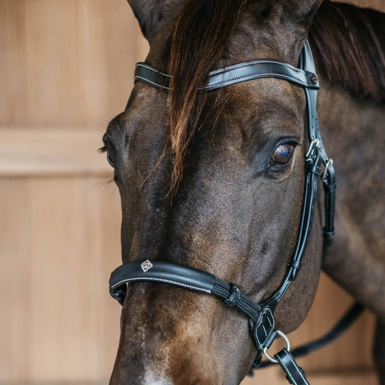 Gebisslose Trense Bitless Bridle