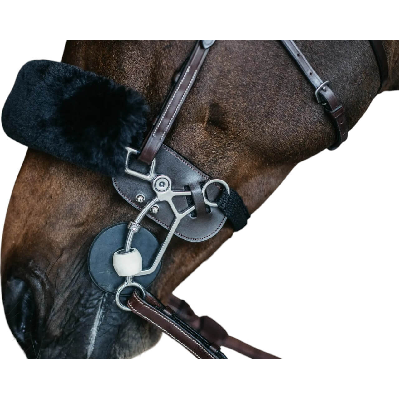Hackamore Schutz