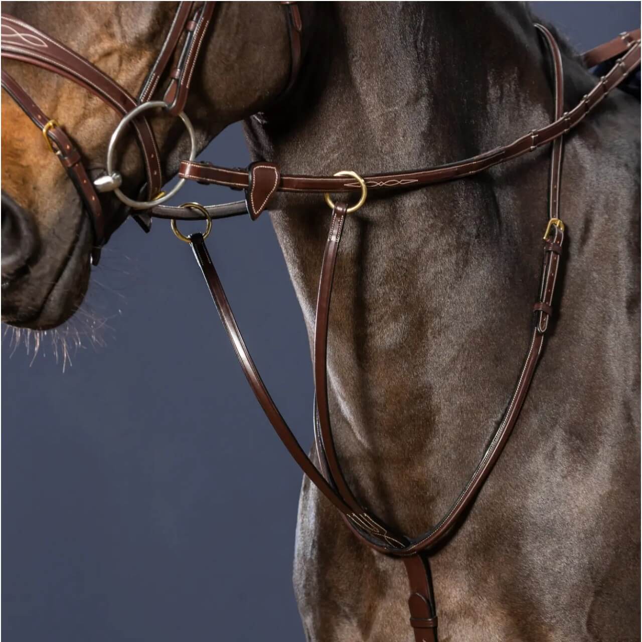 Ringmartingal Gleitend D-Collection Martingal