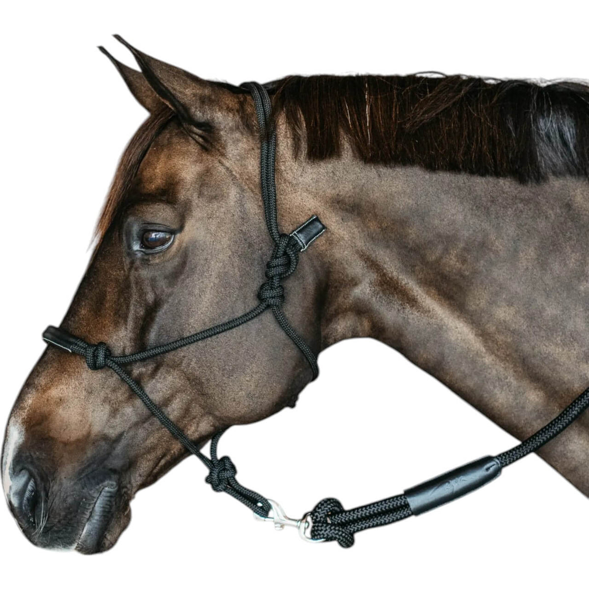 Trainingshalfter Halfter Knotenhalfter