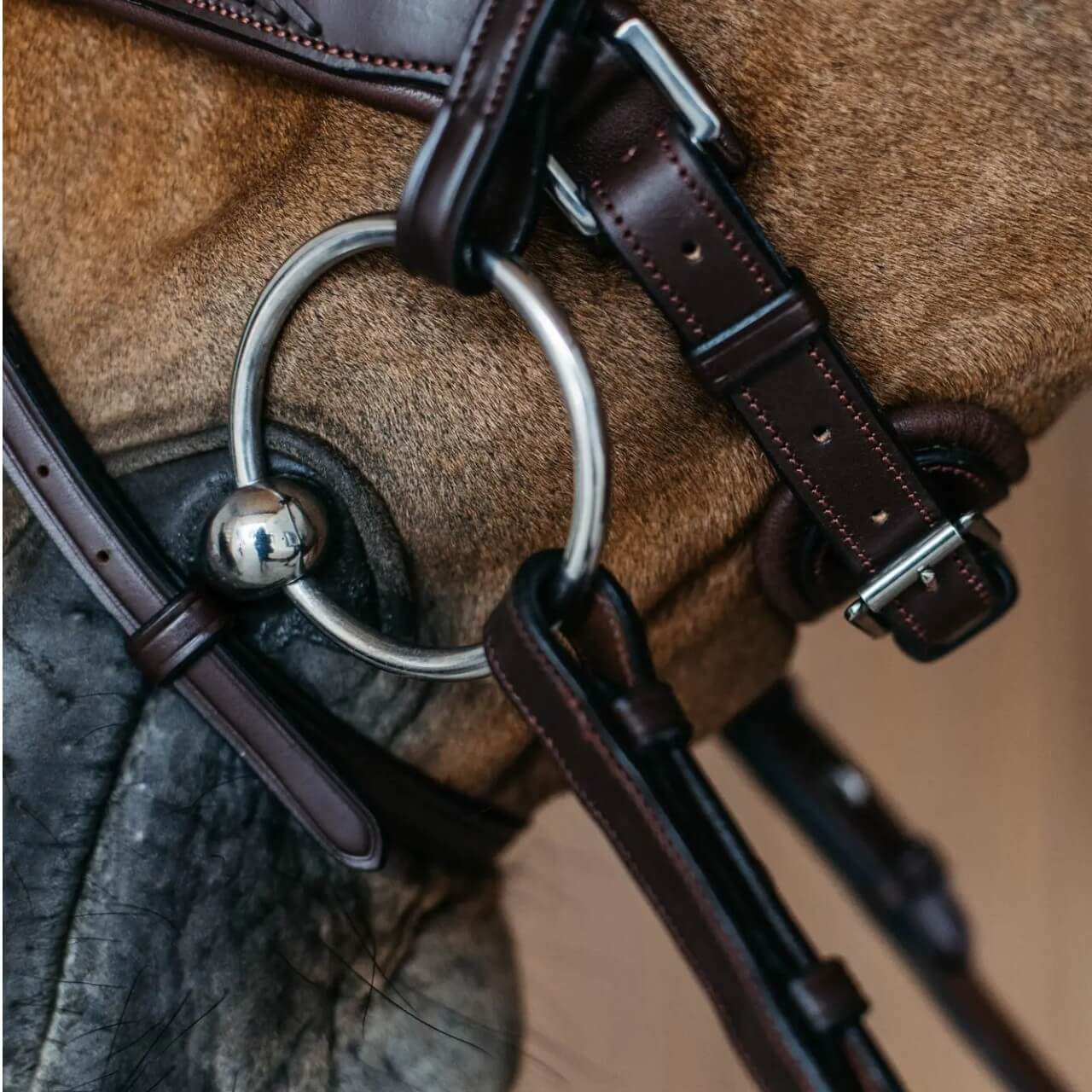 Trense Geflochten mit schwedischem Reithalfter New English Collection