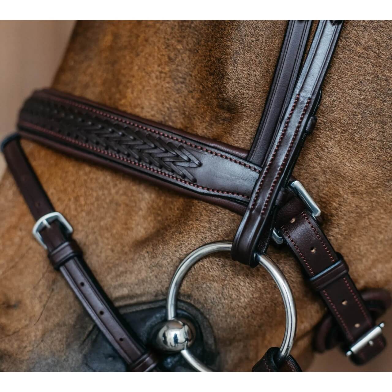 Trense Geflochten mit schwedischem Reithalfter New English Collection