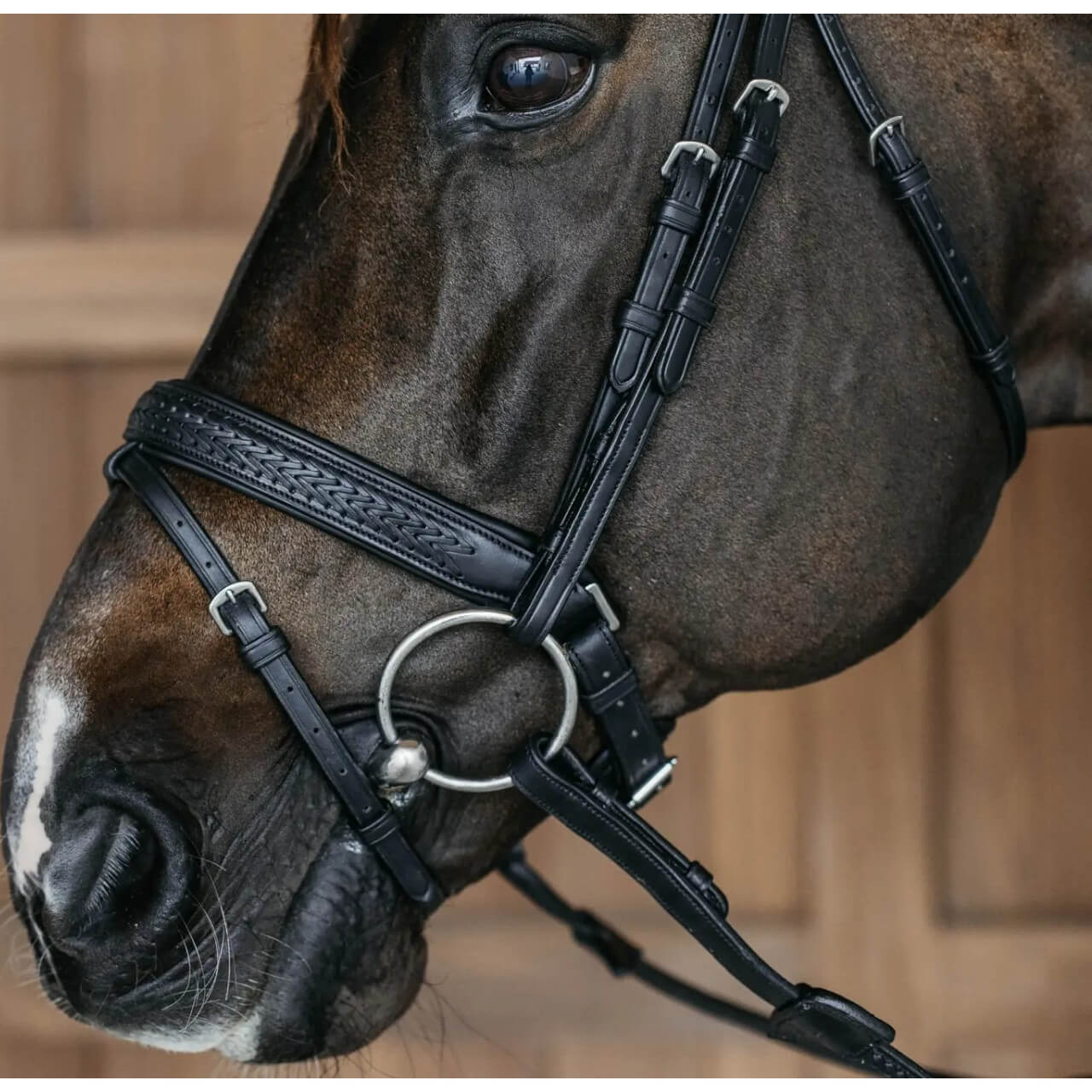 Trense Geflochten mit schwedischem Reithalfter New English Collection