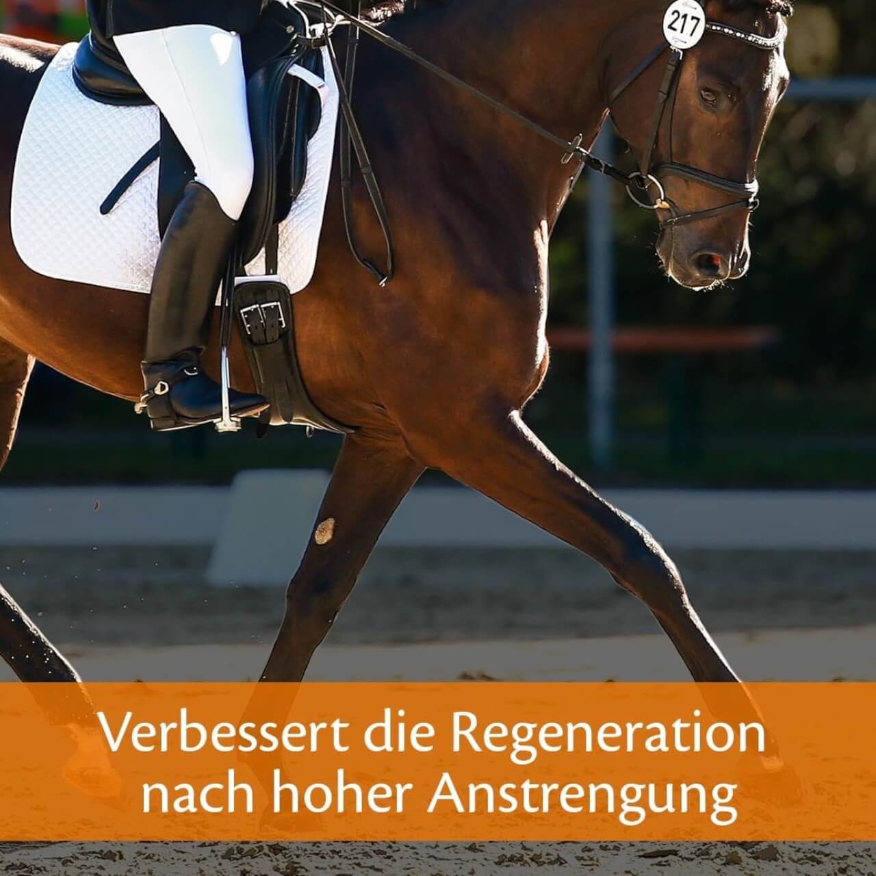 Ergänzungsfuttermitel Haemolytan 400 Zusatzfutter
