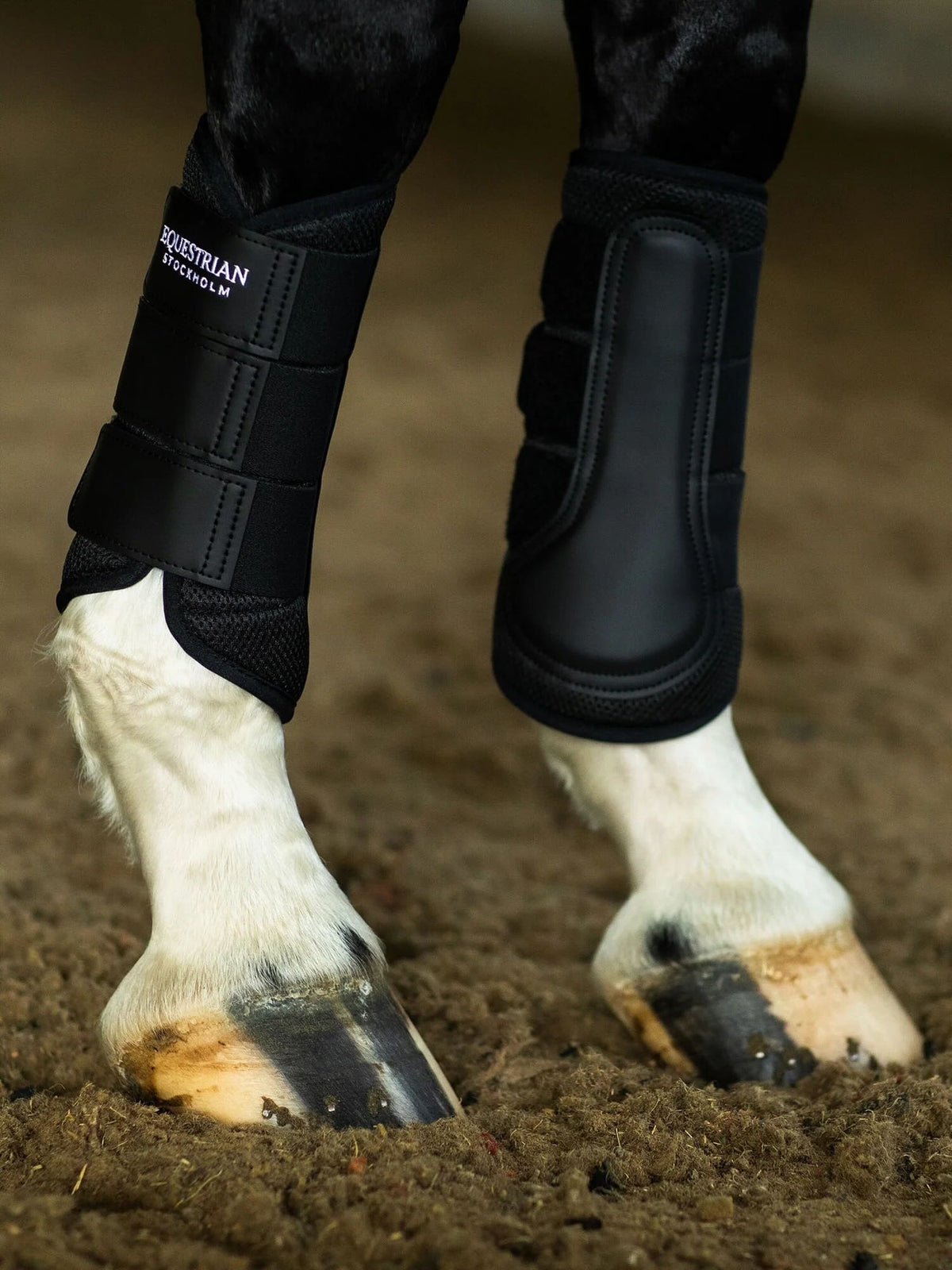 Dressurgamaschen Everyday Black Mesh Brushing Boots