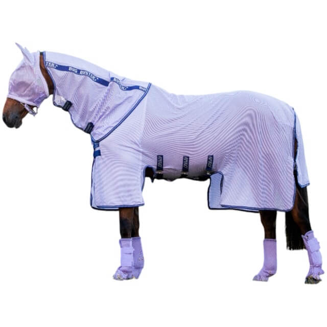 Lavender/Atlantic Blue & Ivory
