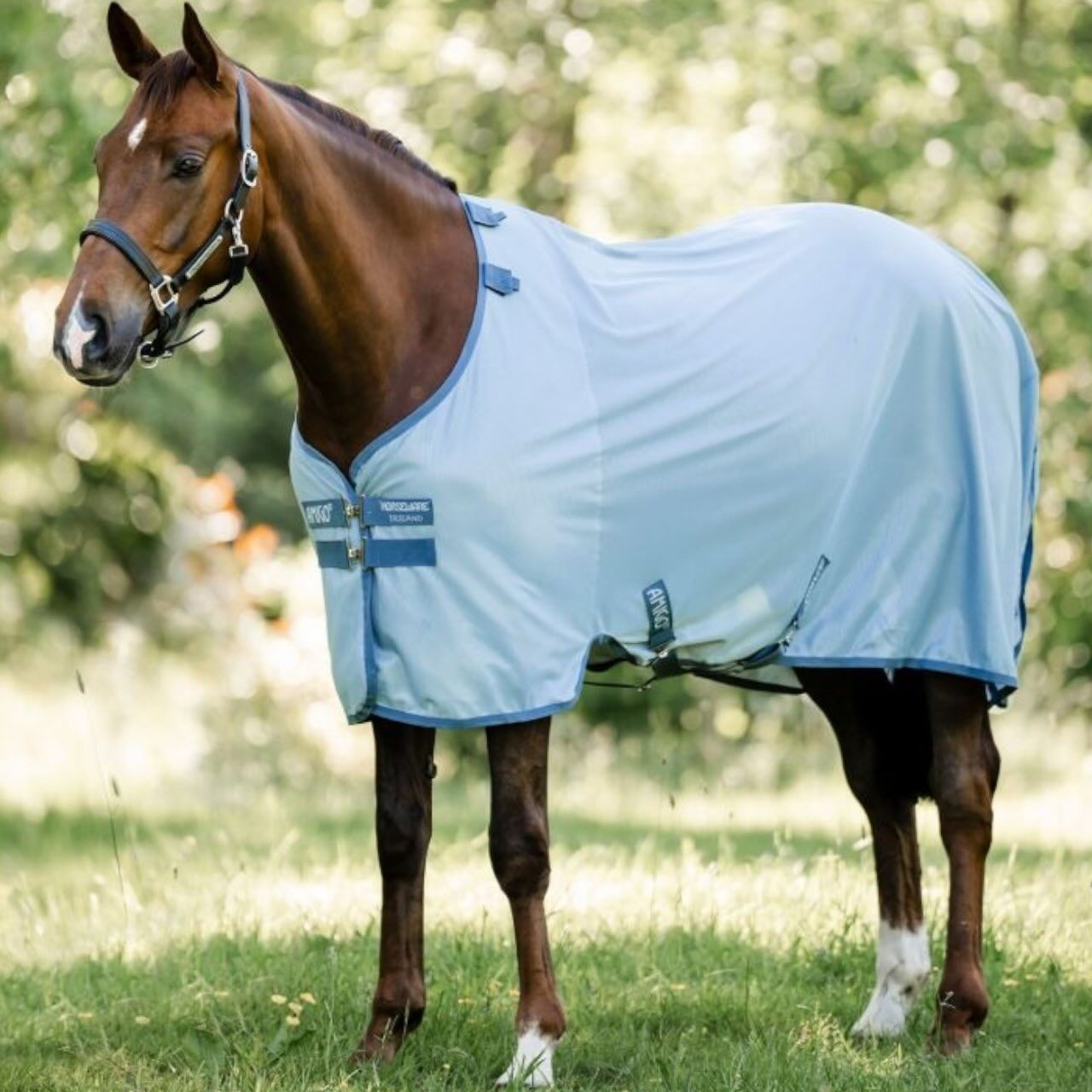 Fliegendecke Amigo Bug Rug