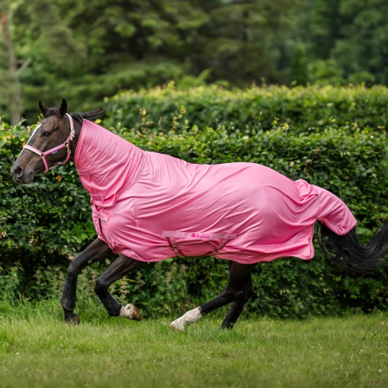Fliegendecke Freedom Fly Sheet Full Neck Insektenschutzdecke