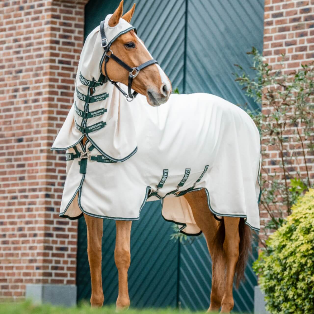 Fliegendecke Rambo Hoody Fliegenschutz