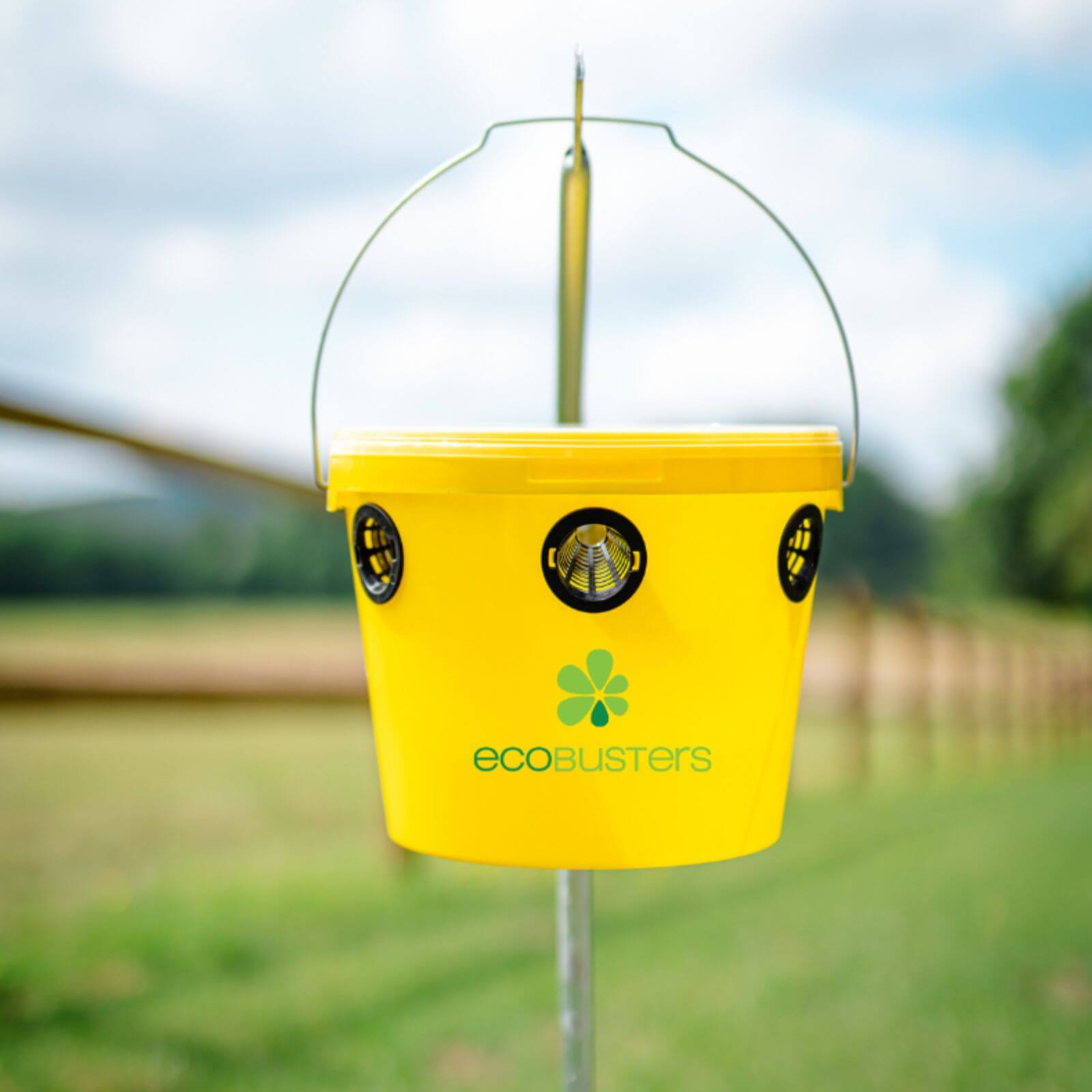Fliegenfalle Weide Compact + 240 g Lockstoff