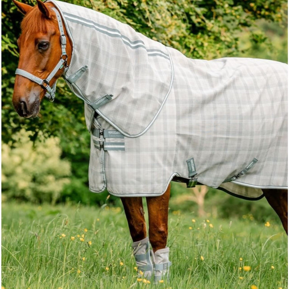Fliegengamaschen Newmarket Fly Boots Gamaschen
