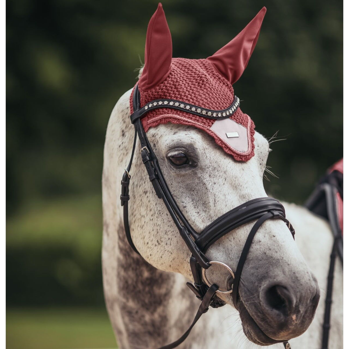 Equestrian Stockholm Fliegenhaube Amber Rose Fliegenmütze, Amber Red, am Pferd im Profil.