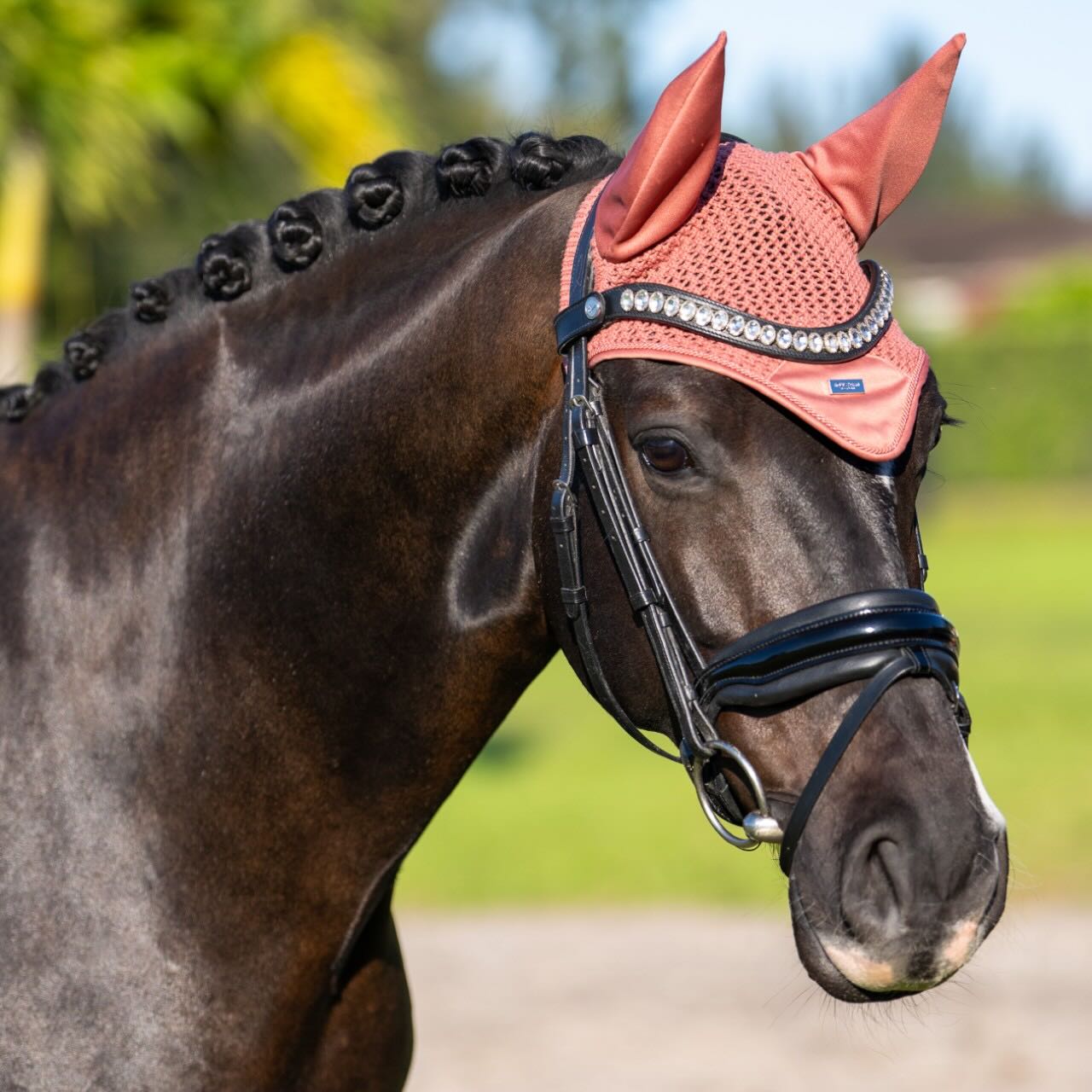 Fliegenhaube Coral Fliegenmütze